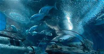 Pattaya Nong Nooch Tropical Garden With Underwater World Ticket